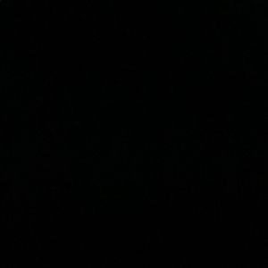 Meet your Posher, Irvin